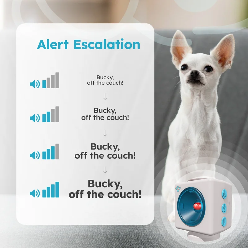 Bucky Escalation - ChatrBox